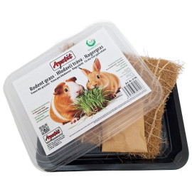 Apetit hlodavčí tráva, pěstební miska, kokos.rohož 30g