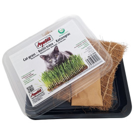 Apetit kočičí tráva, pěstební miska, kokos.rohož 30g