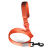 Vodítko pes PREMIUM nylon 25mm/1,2m tm.oranž. Zolux