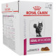 Royal Canin VD Feline Renal  12x85g kuře kapsa