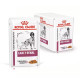 Royal Canin VD Canine Early Renal kapsa 12x100g