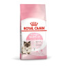 Royal Canin Feline Babycat  400g
