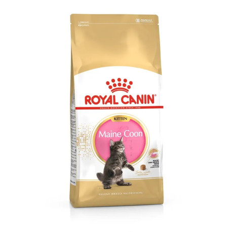 Royal Canin Breed  Feline Kitten Maine Coon  400g