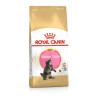 Royal Canin Breed  Feline Kitten Maine Coon  400g