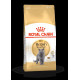 Royal Canin Breed  Feline British Shorthair 10kg