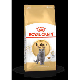 Royal Canin Breed  Feline British Shorthair 10kg