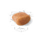 Royal Canin Breed Pudl  1,5kg