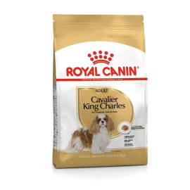 Royal Canin Breed Kavalír King Charles  1,5kg