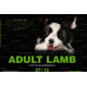 SUPRA Adult Lamb 12 kg