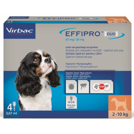 Effipro DUO Dog S (2-10kg) 67/20 mg, 4x0,67ml