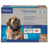 Effipro DUO Dog XL (40-60kg) 402/120 mg, 4x4,02ml