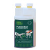 Root&Snoot Pulmoran Dých.cesty pro koně sirup 1l
