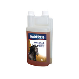 Nutri Horse Amino sol 1000ml