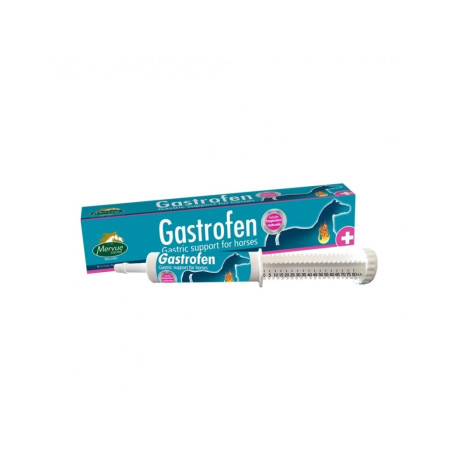 MERVUE GASTROFEN - pasta 80ml