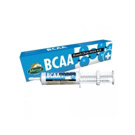 MERVUE BCAA - pasta 60ml