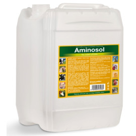 Aminosol sol 5000ml