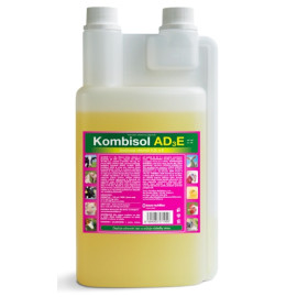 Kombisol AD3E 1000ml