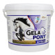 Gelapony Arthro 1800 g