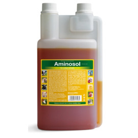 Aminosol sol 1000ml