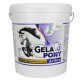 Gelapony Arthro 5400g