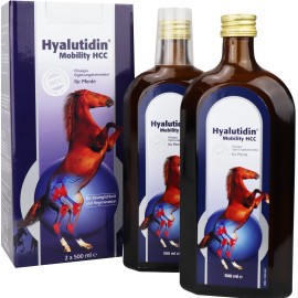 Hyalutidin Mobility HCC 2x500ml