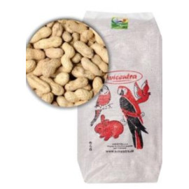 Avicentra buráky ve skořápce 10kg
