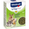 Vitakraft Rodent VitaFit C-Forte petržel. peletky 100g