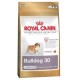 Royal Canin BREED Bulldog Junior 12 kg