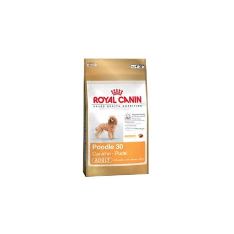 Royal Canin BREED Pudl 500 g