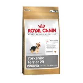 Royal Canin BREED Yorkshire Junior 1,5 kg