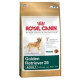 Royal Canin BREED Zlatý Retriever 12 kg