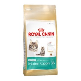 Royal Canin Kitten Maine Coon 400 g 