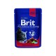 Kapsička BRIT Premium Cat Beef Stew & Peas 100g