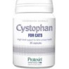 Protexin Cystophan pro kočky 30 tbl