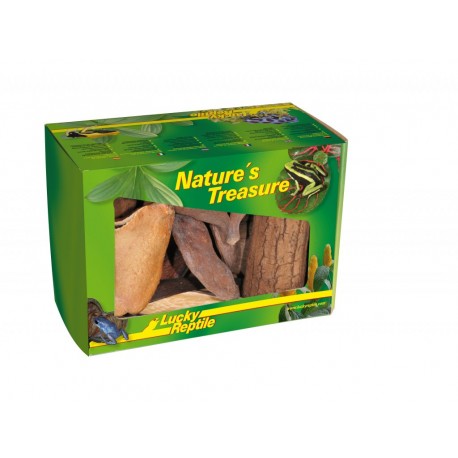 Lucky Reptile Nature´s Treasure - Deco Box