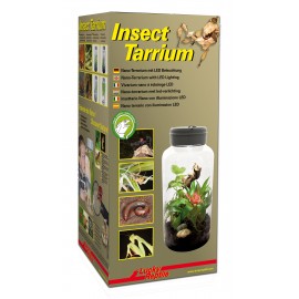 Lucky Reptile Insect Tarrium 5L 15x15x25 cm