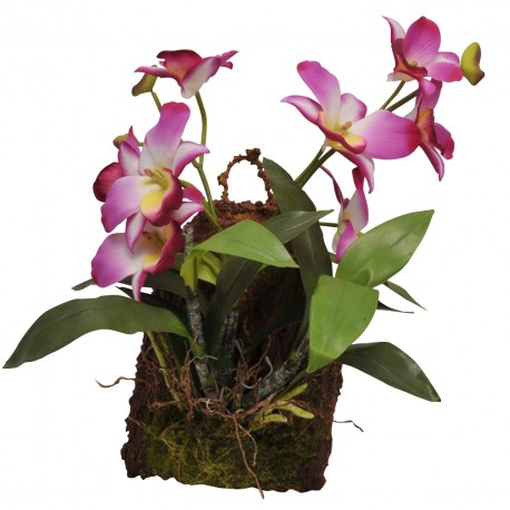 Lucky Reptile Závěsná orchidej - purpurová cca 20x30 cm