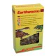 Lucky Reptile Earthworms 10 g