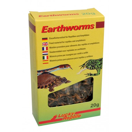 Lucky Reptile Earthworms 10 g