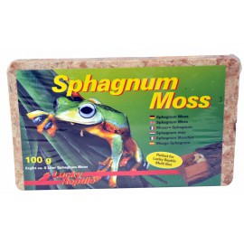Lucky Reptile Sphagnum Moss 500 g