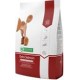 Nature's Protection Dog Dry Extra Salmon 2 kg