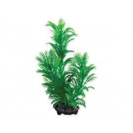 Rostlina TETRA Green Cabomba S 1ks