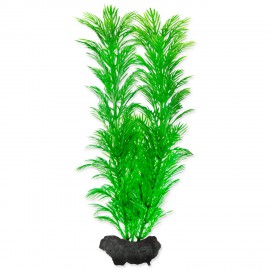 Rostlina TETRA Green Cabomba M 1ks