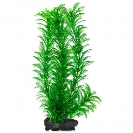 Rostlina TETRA Green Cabomba L 1ks