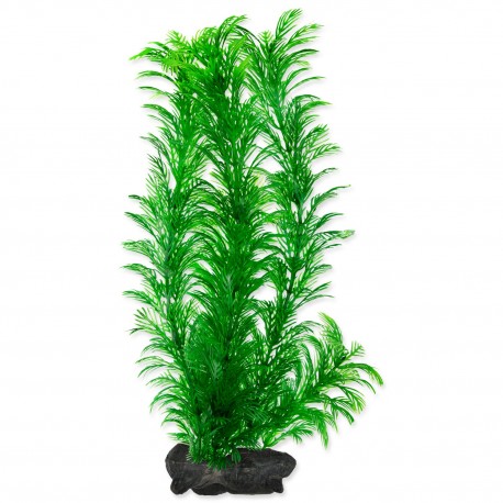 Rostlina TETRA Green Cabomba L 1ks