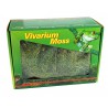 lucky-reptile-vivarium-moss-150g