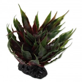 rostlina-repti-planet-sukulent-agave-zelena-18-cm