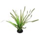 rostlina-repti-planet-travina-spartina-30-cm