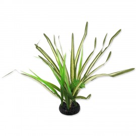 rostlina-repti-planet-travina-spartina-30-cm