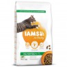 iams-cat-adult-lamb-10kg